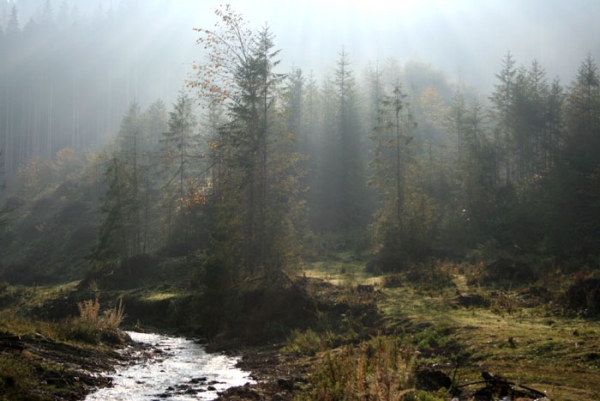 valea 2