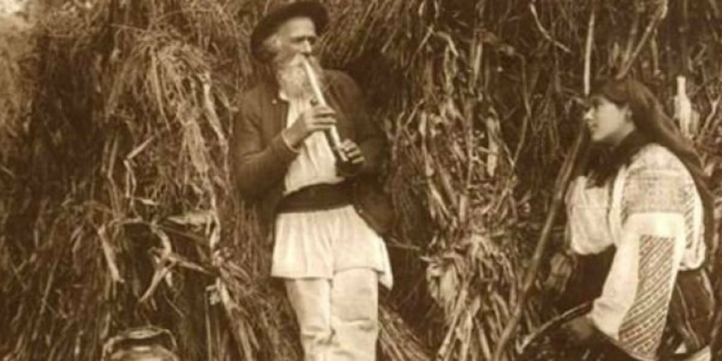 tarani