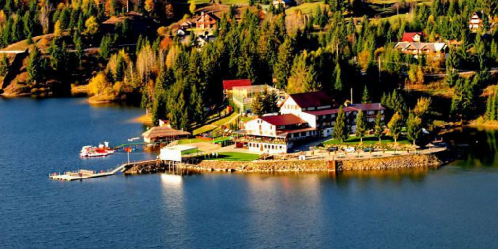colibita-1
